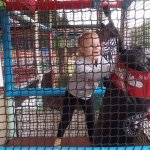 phoca_thumb_m_vp 2.den 124 Fotogalerie